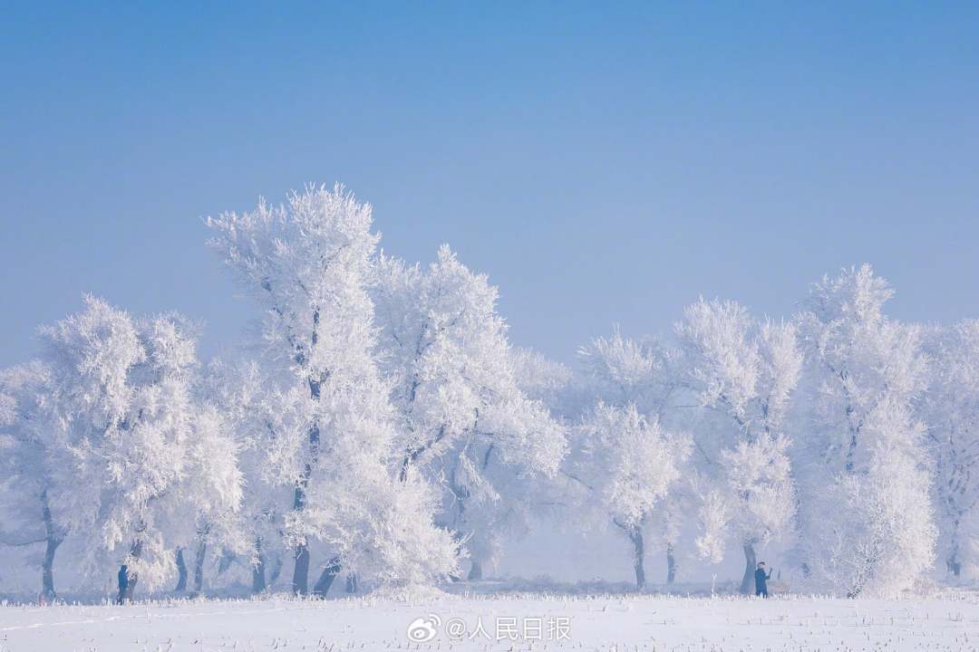 2024-01-31 16:35:45卷毛汤精彩绝伦!吉林雾凇景色让人心驰神往!