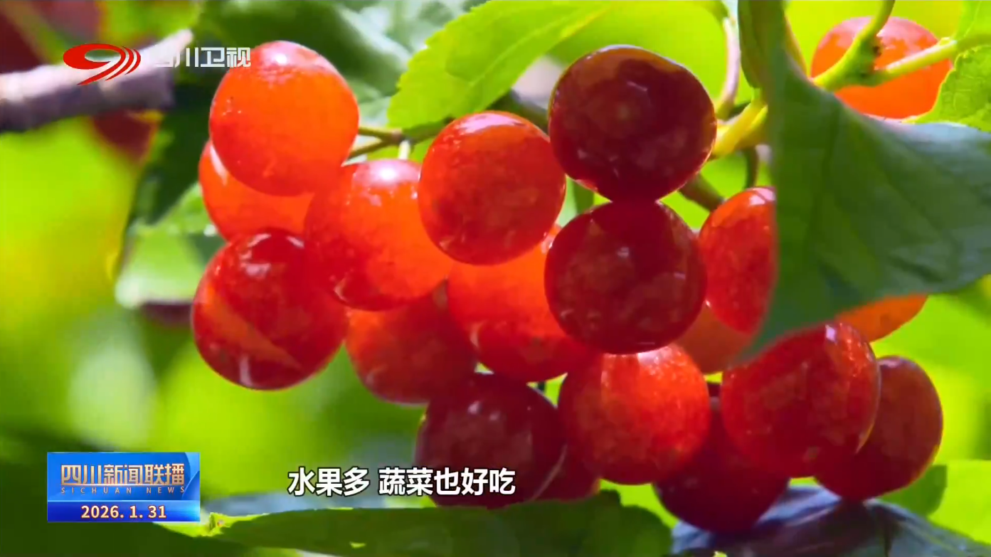 四川新闻联播丨四川向未来·一线调研行②“硬汉”变“暖男”“阳光花城”如何绘就共富图景？(图12)