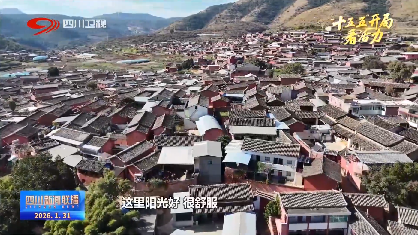 四川新闻联播丨四川向未来·一线调研行②“硬汉”变“暖男”“阳光花城”如何绘就共富图景？(图14)