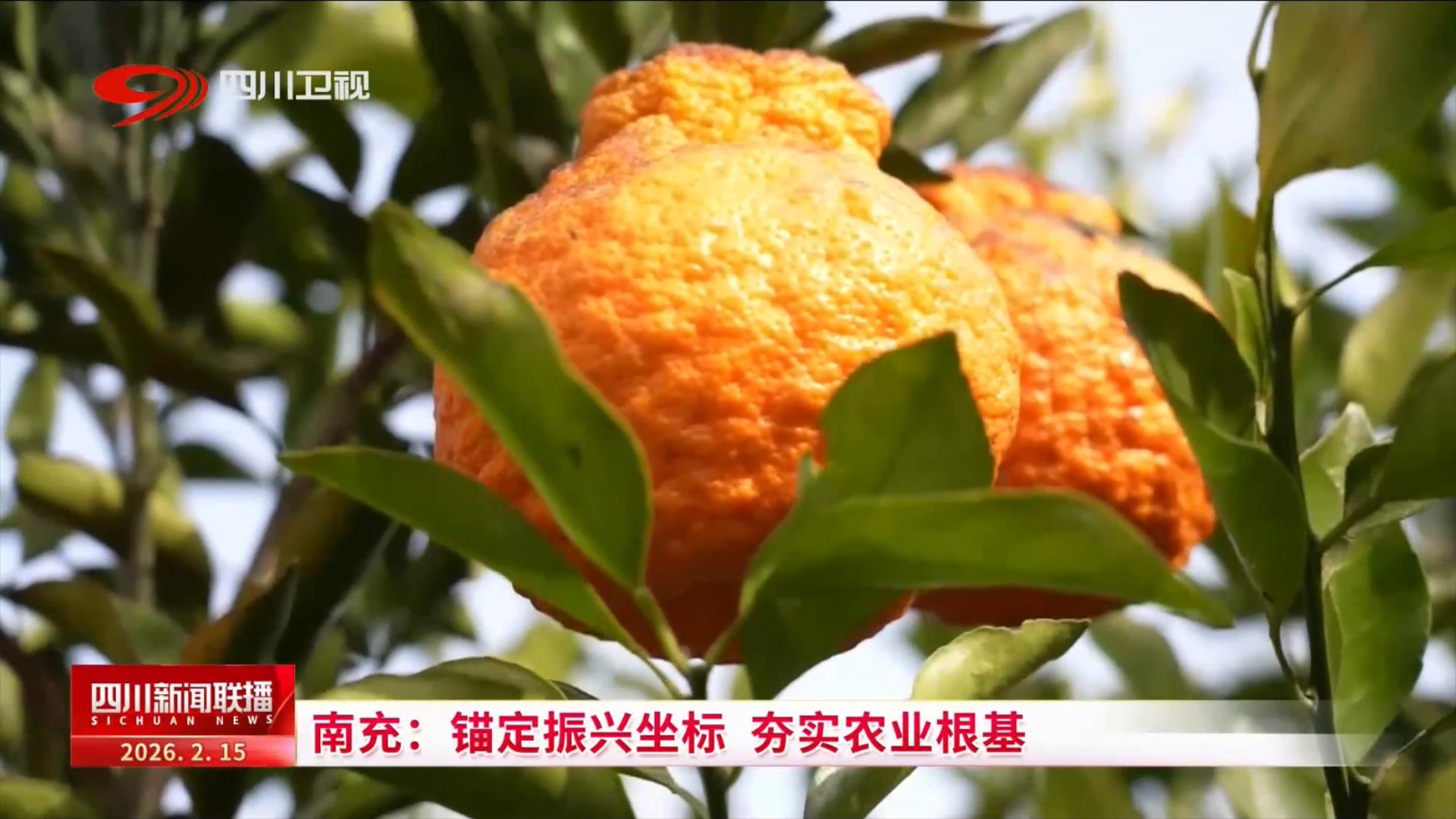 四川新闻联播丨南充：锚定振兴坐标夯实农业根基