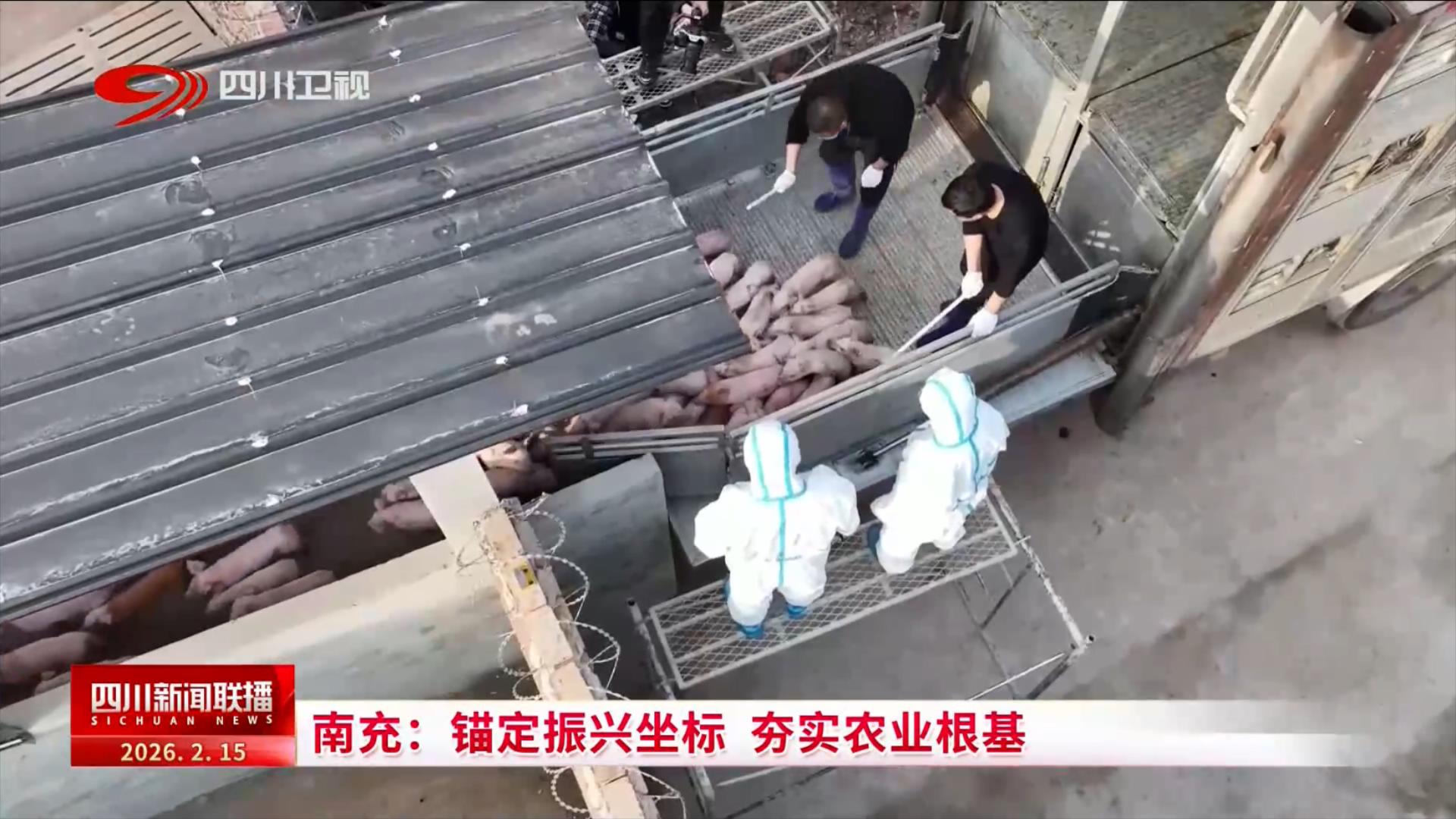 四川新闻联播丨南充：锚定振兴坐标夯实农业根基(图3)