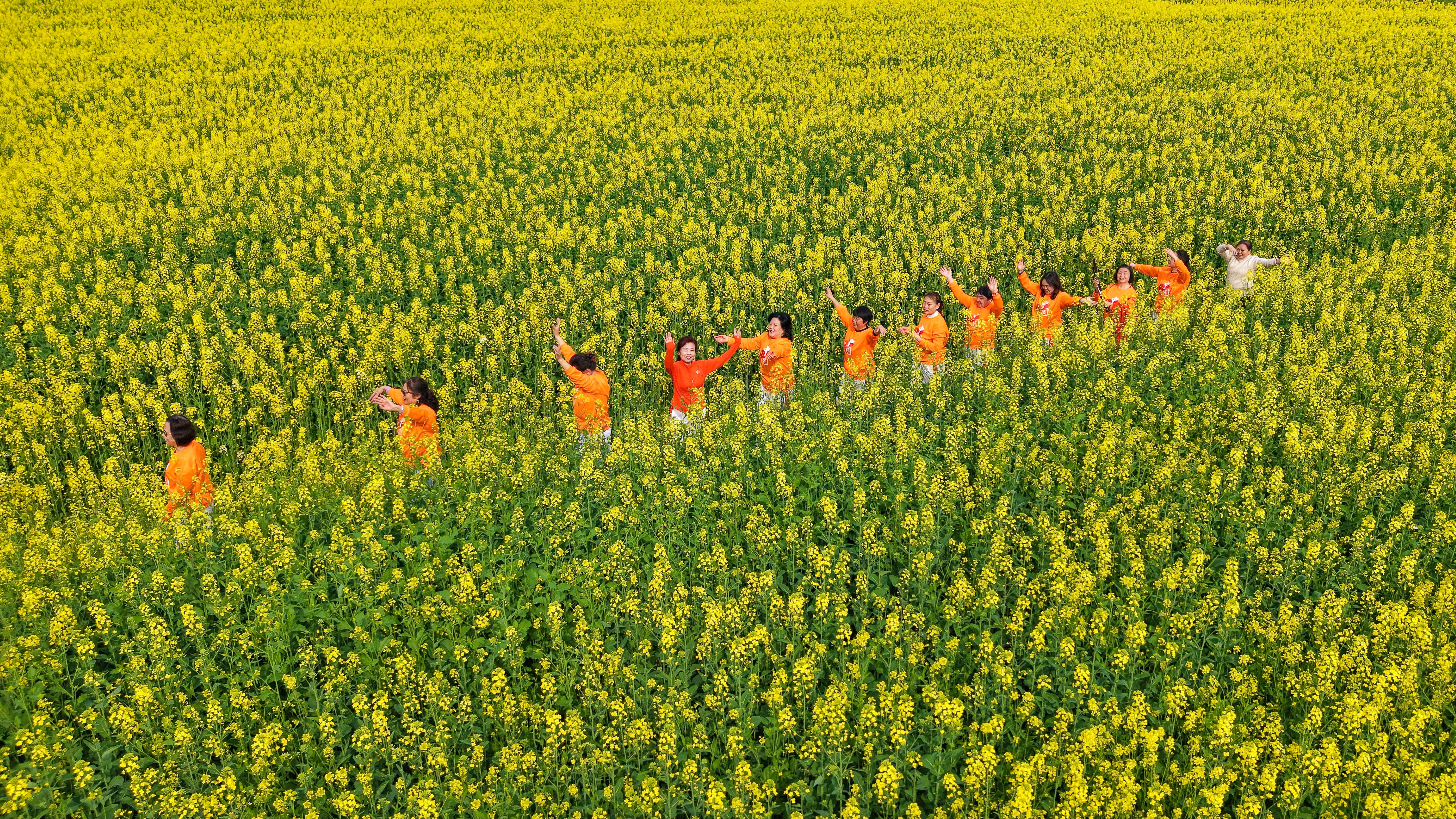 농구 토토 배당률 보기