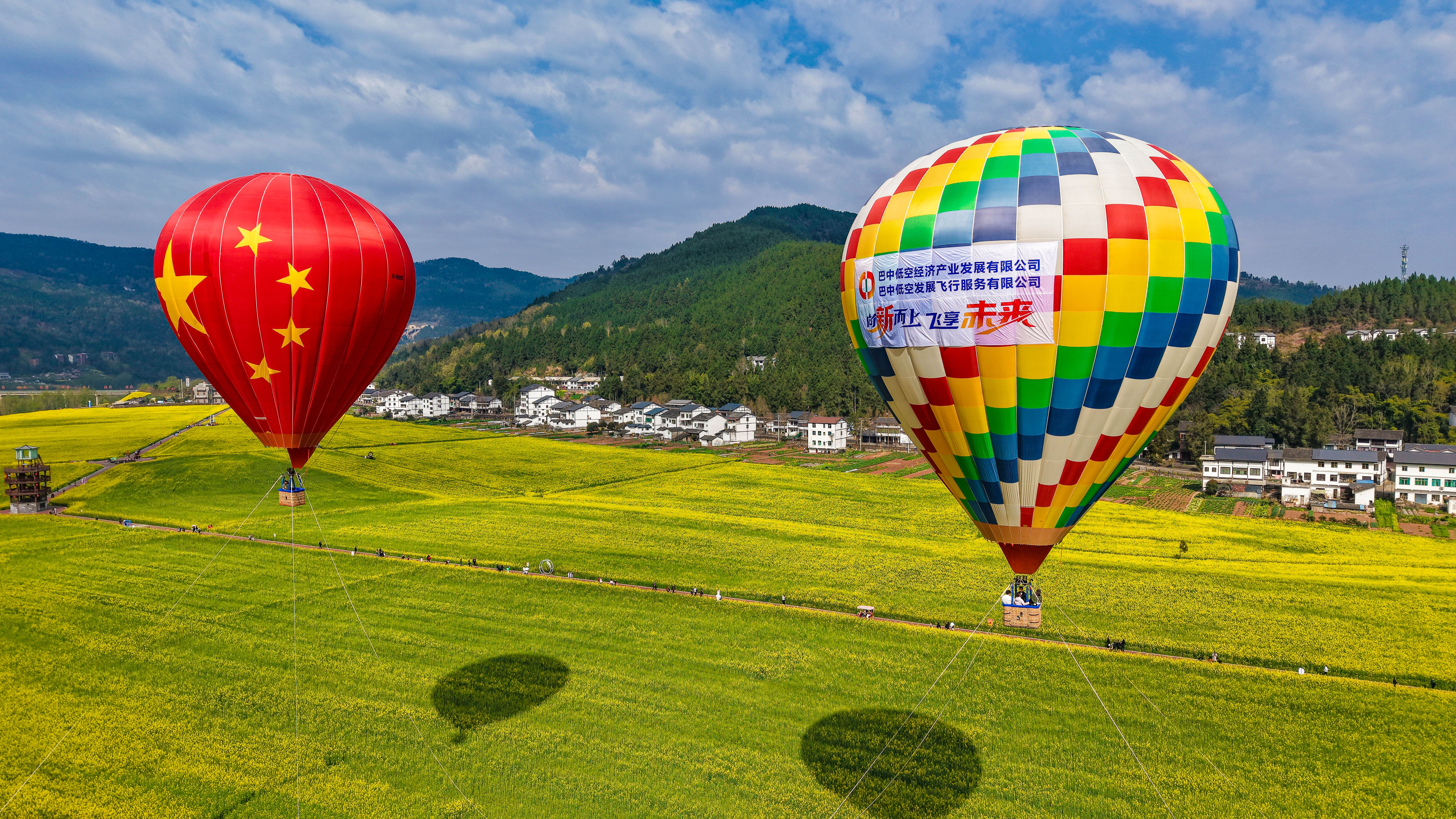 농구 토토 배당률 보기