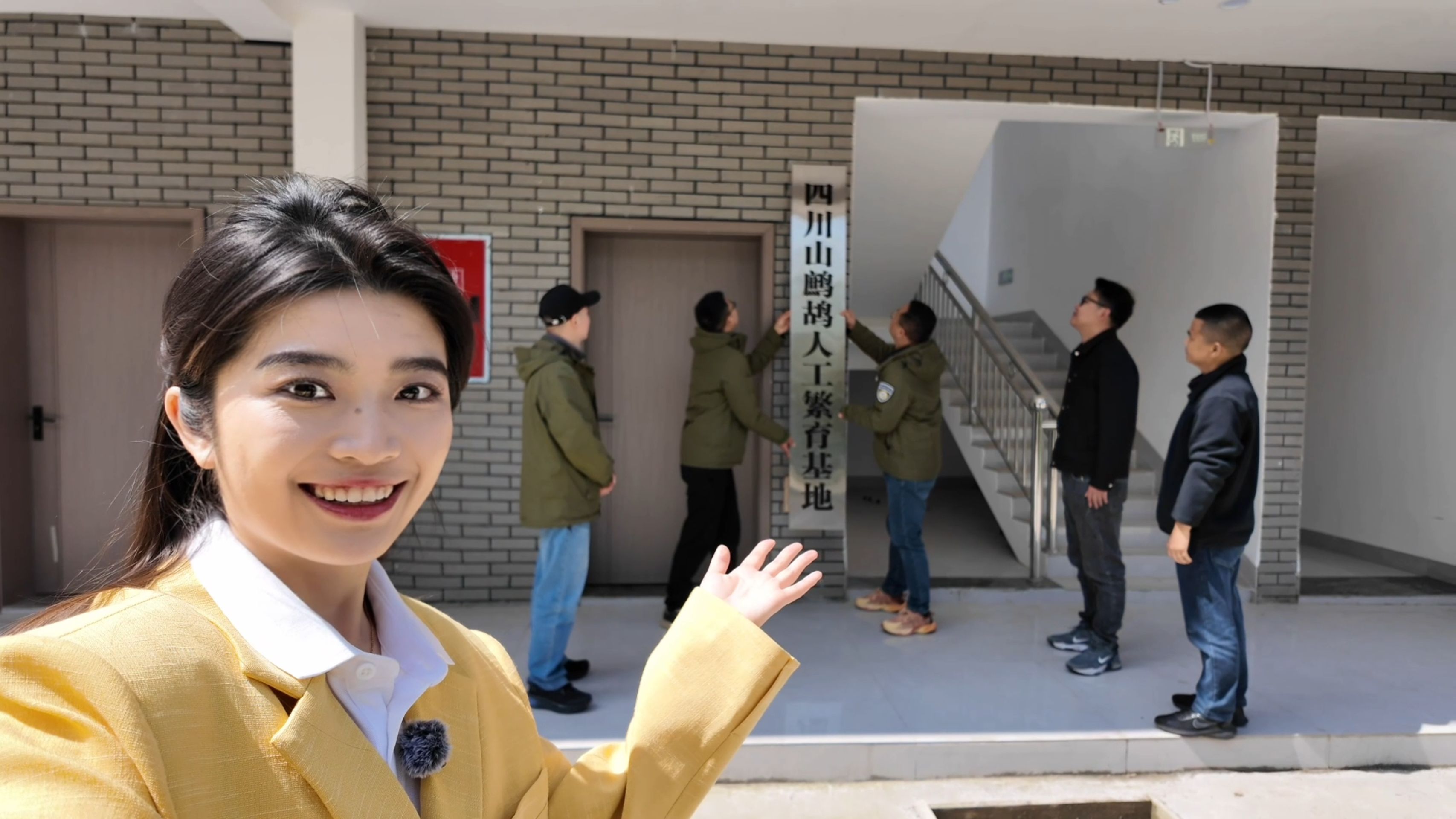 联播观察丨“鸟中大熊猫”的野化训练：飞向山野要过几关？(图1)