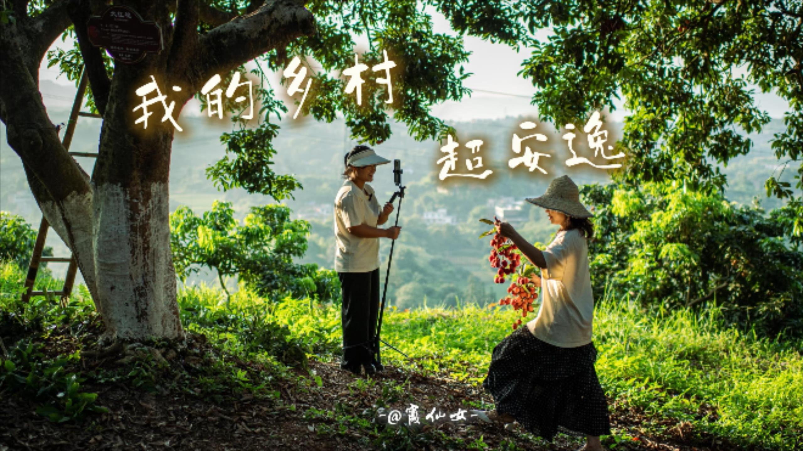 多宝体育- 多宝体育官网- APP下载挖到宝了！四川乡村这群新农人里有个“仙女”太亮眼丨我的乡村超安逸