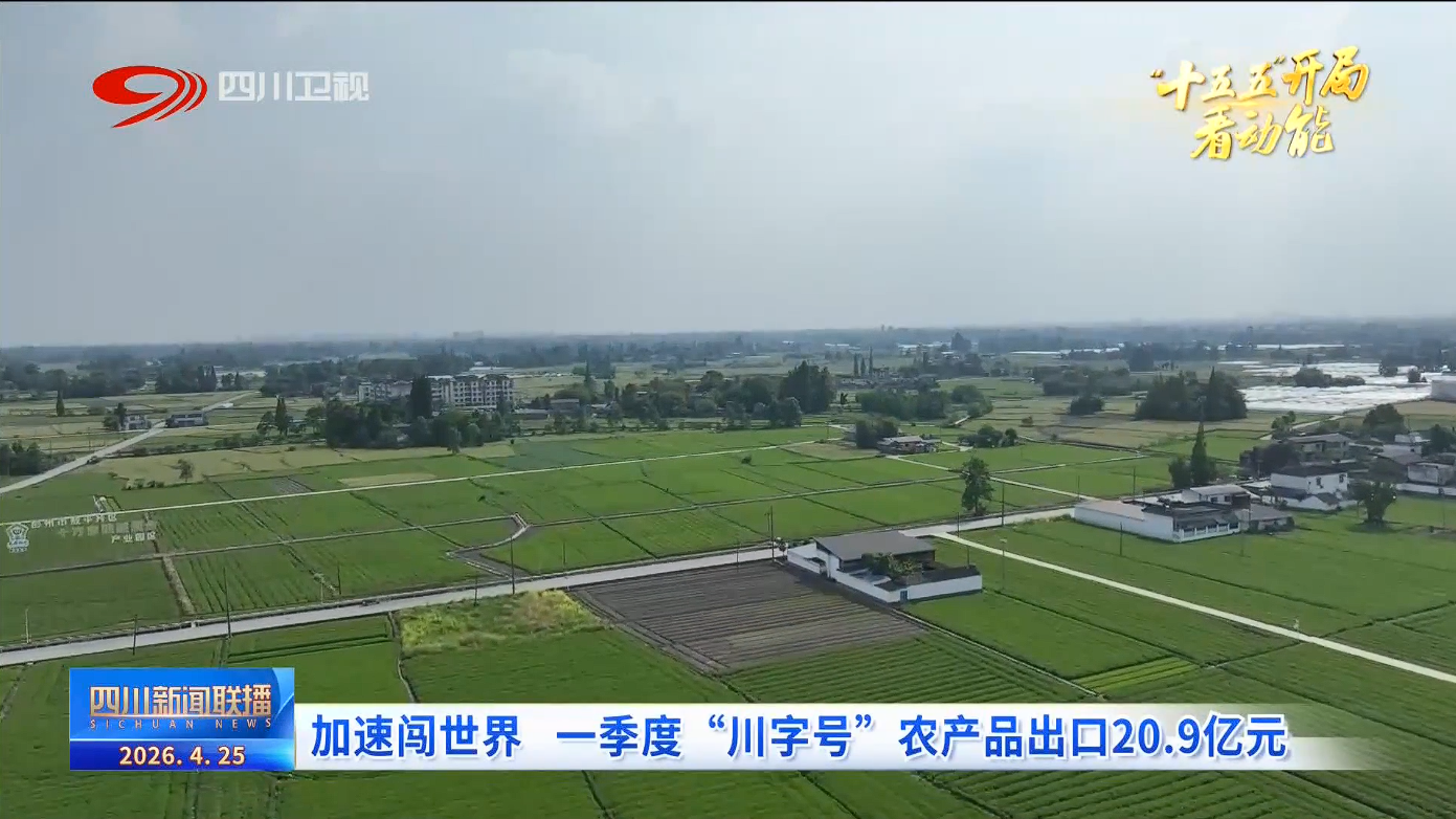 四川新闻联播丨加速闯世界一季度“川字号”农产品出口209亿元(图1)