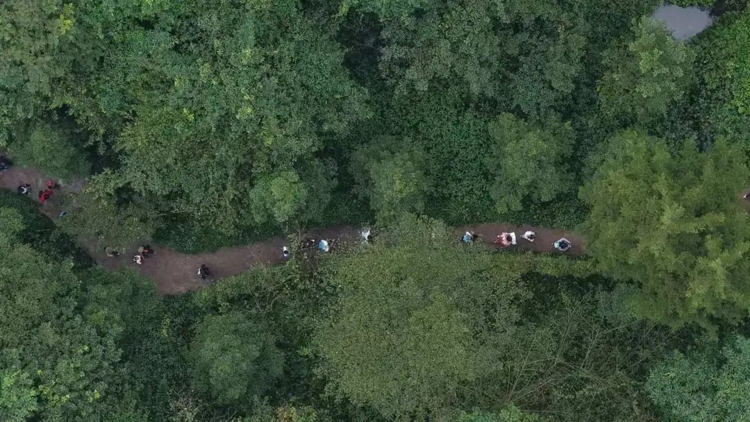 网红野山不要爬！“五一”出游成都周边这些安全徒步路线请收藏→(图1)