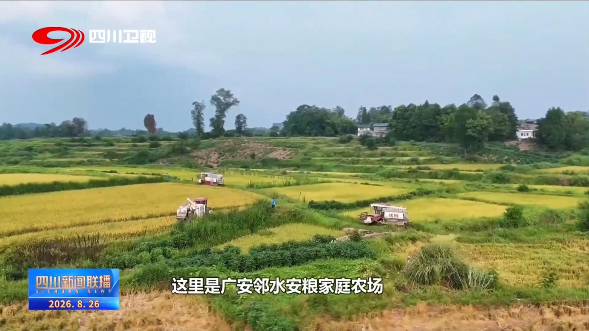 四川新闻联播丨【联播现场】广安邻水：农业现代化 答案写在沃野田间