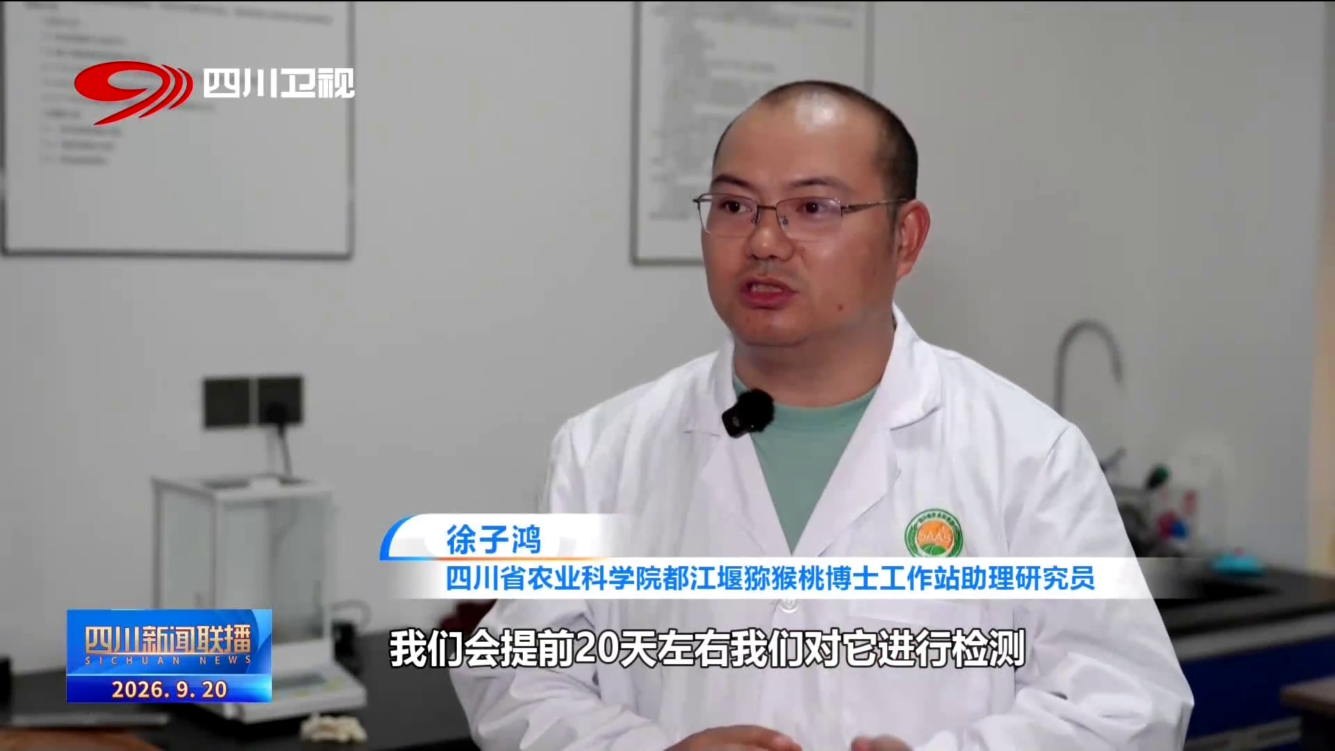 四川新闻联播丨我的乡村超安逸·一线调研行㉓都江堰金胜社区:一颗“金果果”何以甜“猕”出海?(图6)