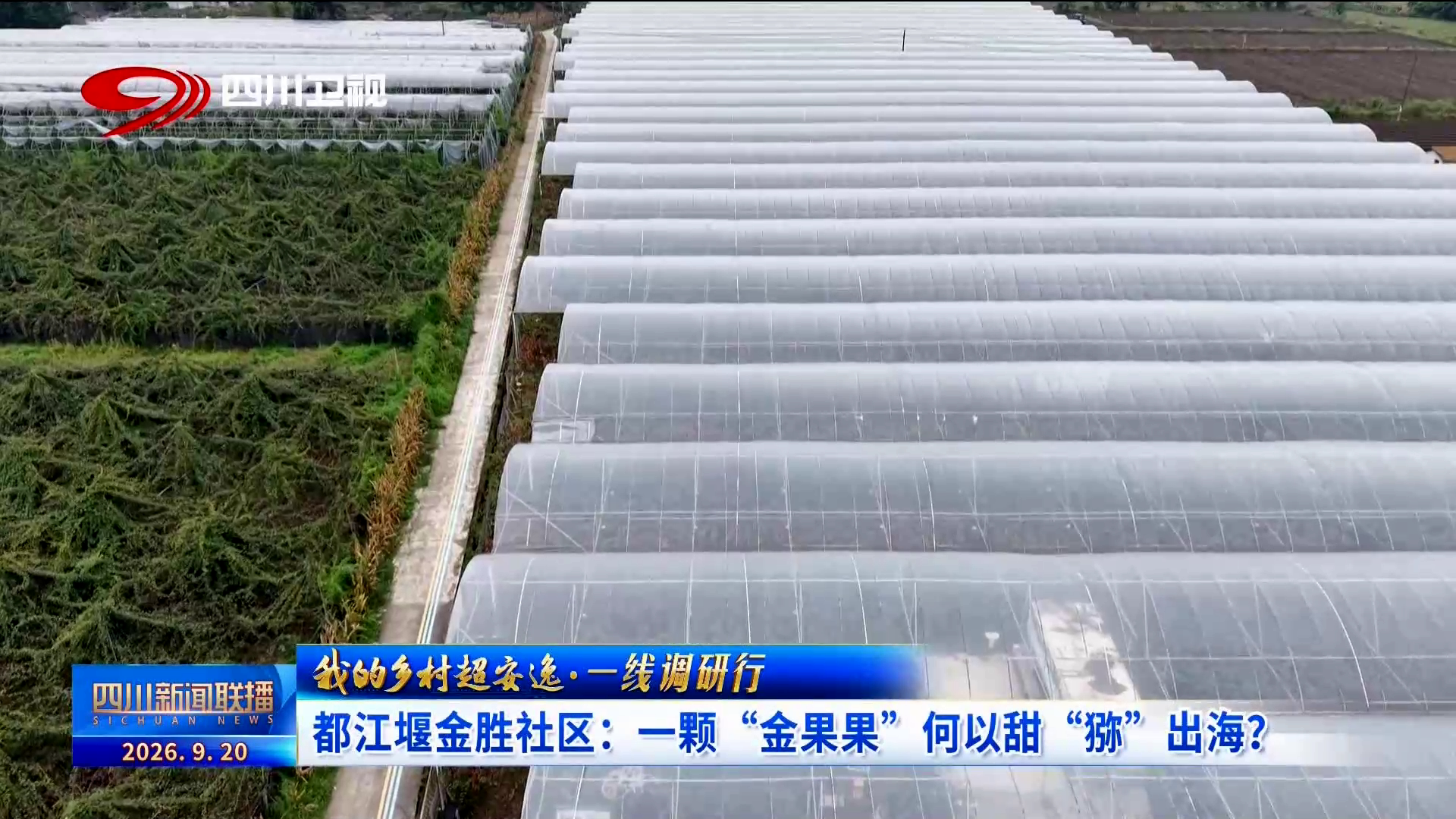 四川新闻联播丨我的乡村超安逸·一线调研行㉓都江堰金胜社区:一颗“金果果”何以甜“猕”出海?(图10)