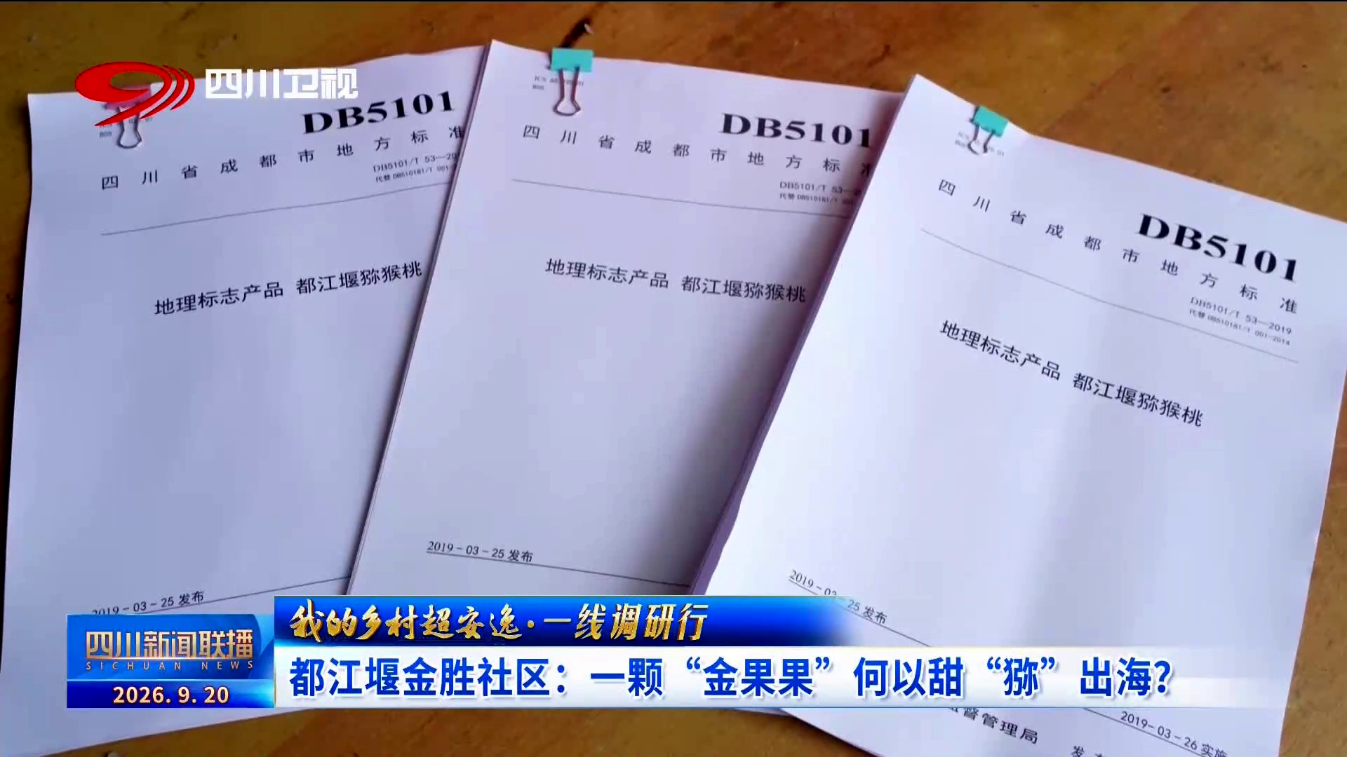 四川新闻联播丨我的乡村超安逸·一线调研行㉓都江堰金胜社区:一颗“金果果”何以甜“猕”出海?(图13)